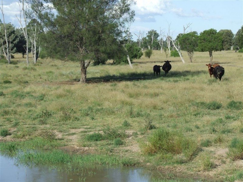 Lot 54 Beebo Seventeen Mile Road, Glenarbon QLD 4385