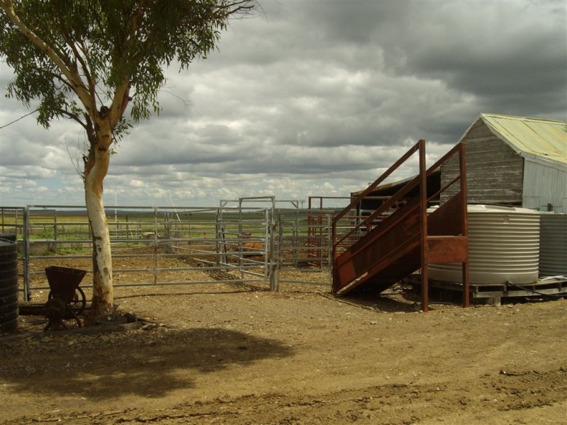 2991 Toowoomba-Karara Rd, Felton East QLD 4358