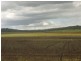 2991 Toowoomba-Karara Rd, Felton East QLD 4358