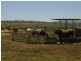 2991 Toowoomba-Karara Rd, Felton East QLD 4358