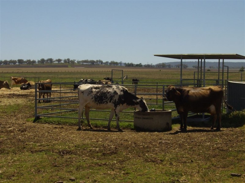2991 Toowoomba-Karara Rd, Felton East QLD 4358