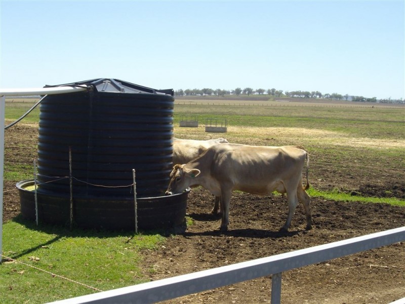 2991 Toowoomba-Karara Rd, Felton East QLD 4358