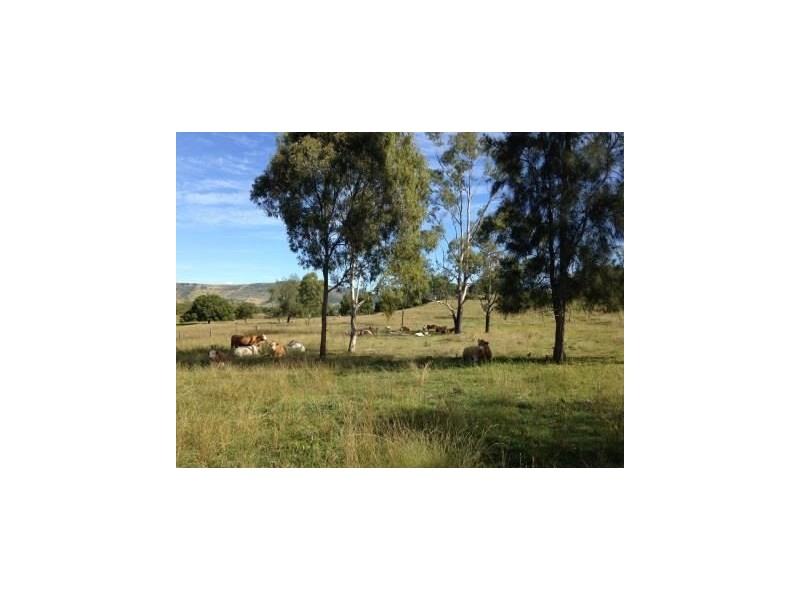 8 Moon Rd, Forest Hill QLD 4342