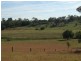 8 Moon Rd, Forest Hill QLD 4342