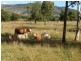 8 Moon Rd, Forest Hill QLD 4342