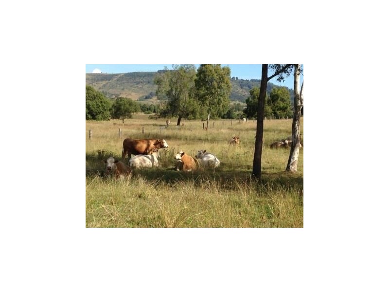 8 Moon Rd, Forest Hill QLD 4342