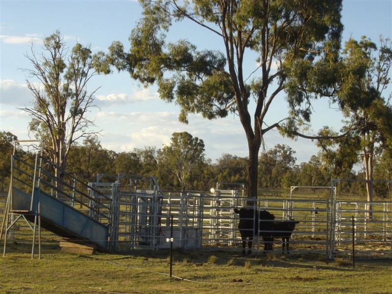 123 Spiers Creek Road, Millmerran QLD 4357
