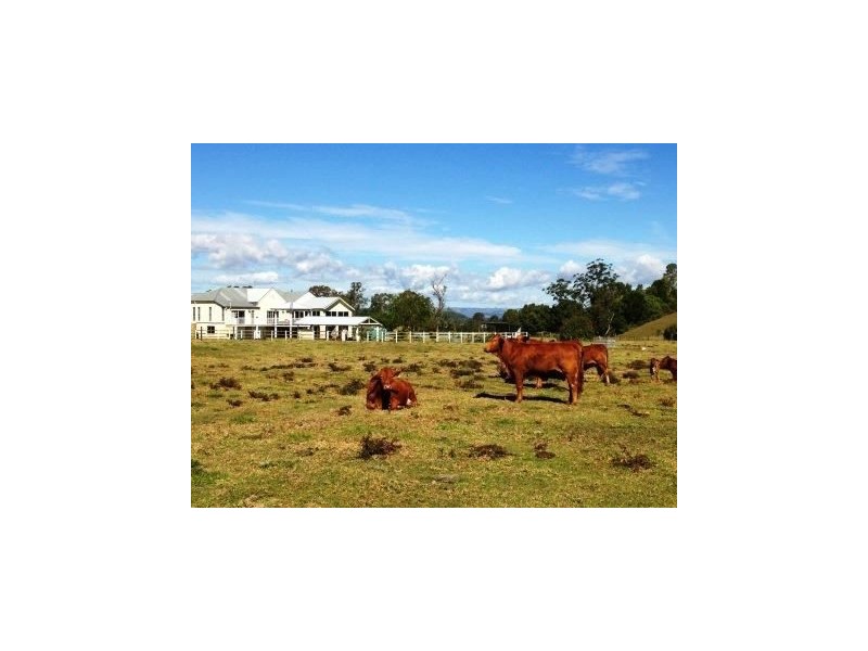 1179 Kilcoy Beerwah Rd, Cedarton QLD 4514