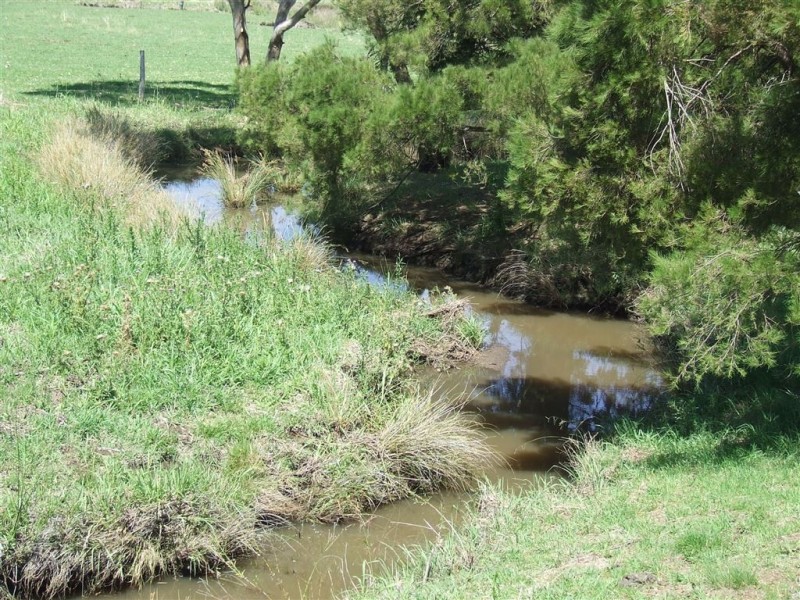 264 Cambooya Street, Drayton QLD 4350