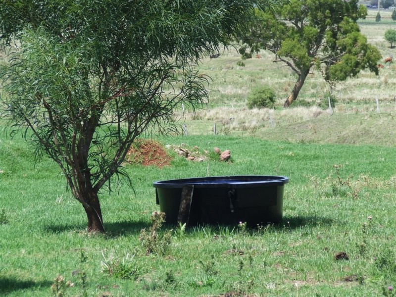 264 Cambooya Street, Drayton QLD 4350