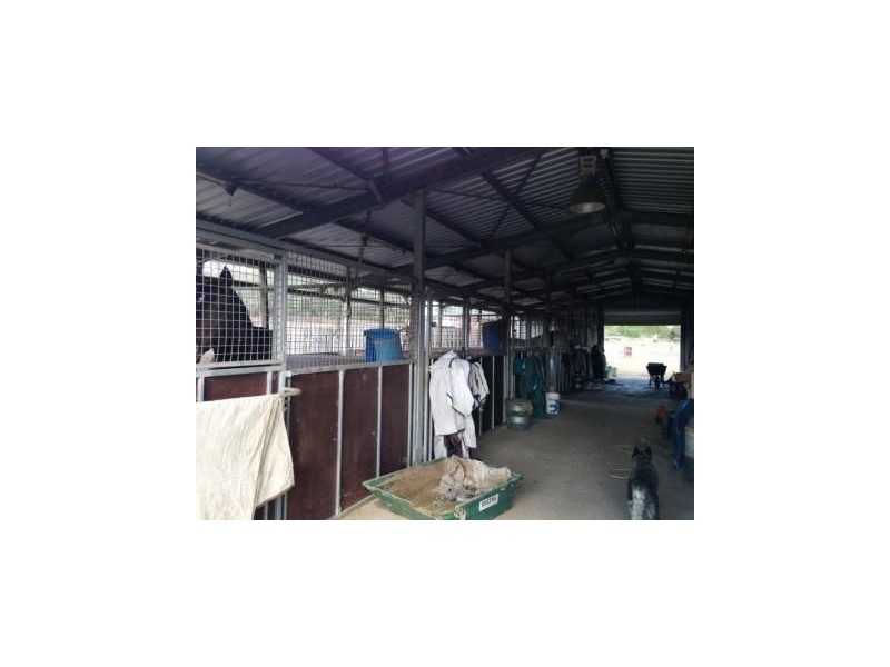 430 Biddeston Linthorpe Road, Linthorpe QLD 4356