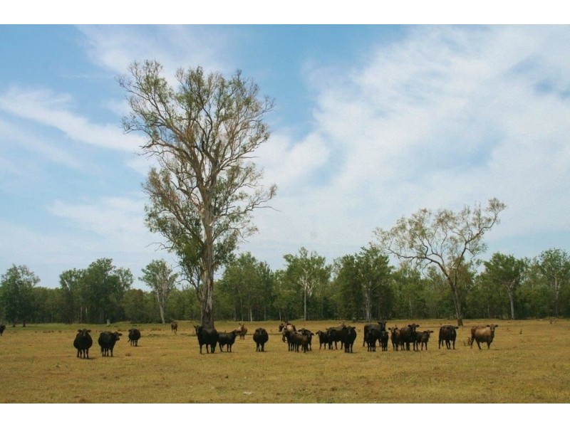 801 Rocky Gully Road, Atkinsons Dam QLD 4311