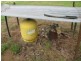 801 Rocky Gully Road, Atkinsons Dam QLD 4311