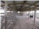 594 West Talgai Road, Allora QLD 4362