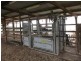 594 West Talgai Road, Allora QLD 4362