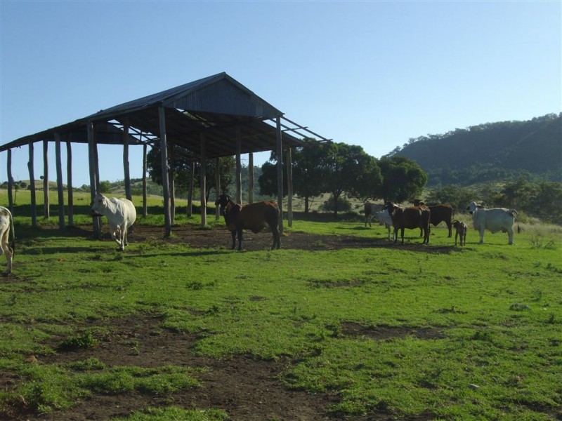 31 Macginley Road, Greenmount East QLD 4359