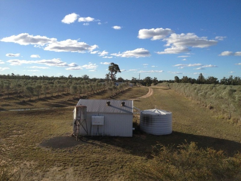 121 Spiers Creek Road, Stonehenge QLD 4357