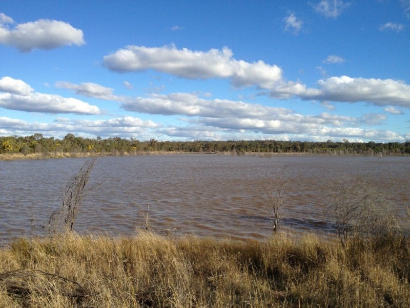 121 Spiers Creek Road, Stonehenge QLD 4357