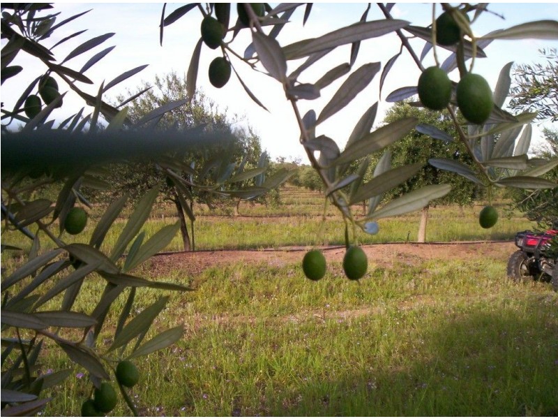 121 Spiers Creek Road, Stonehenge QLD 4357