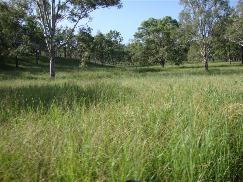 263 Mulgowie Road, Townson QLD 4341