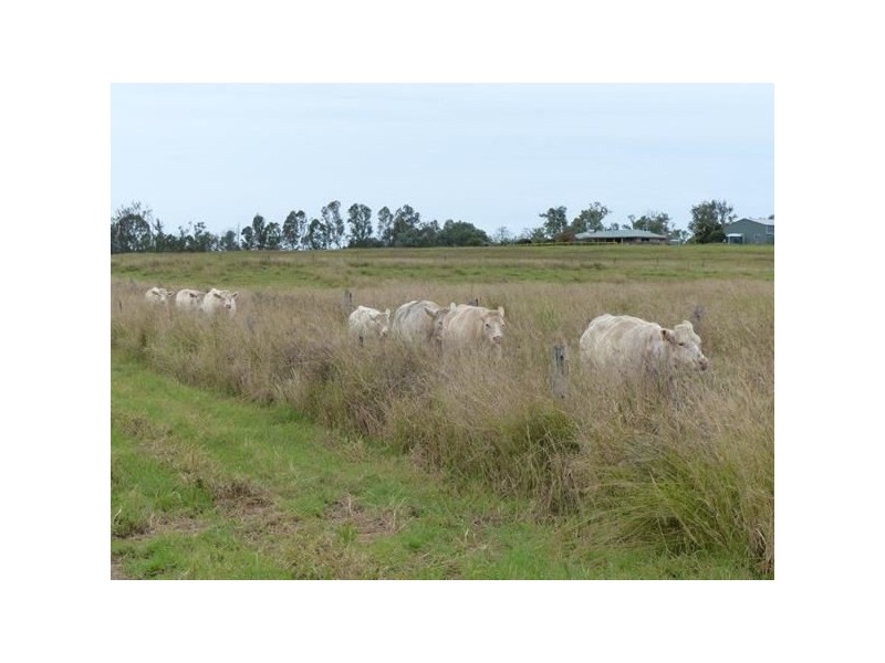 184 Old Rosevale Road, Warrill View QLD 4307