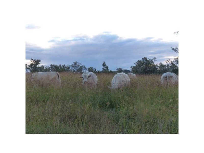 184 Old Rosevale Road, Warrill View QLD 4307