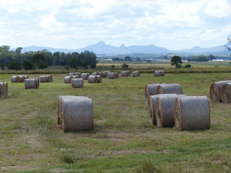 184 Old Rosevale Road, Warrill View QLD 4307