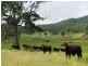 466D Sandy Creek Road, Kilcoy QLD 4515
