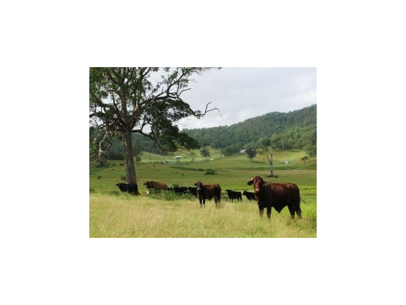 466D Sandy Creek Road, Kilcoy QLD 4515