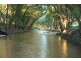 466D Sandy Creek Road, Kilcoy QLD 4515