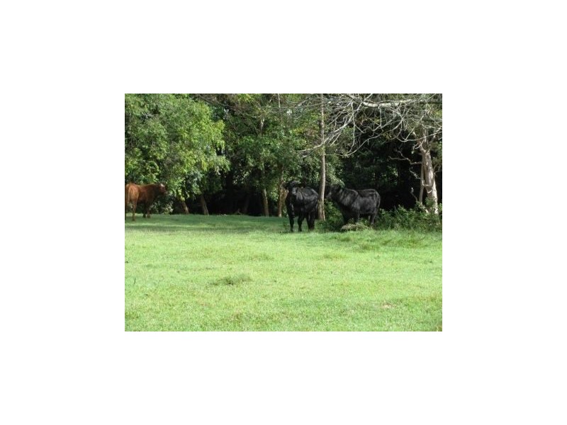 466D Sandy Creek Road, Kilcoy QLD 4515