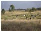 518 Back Ma Ma Road, Ma Ma Creek QLD 4347
