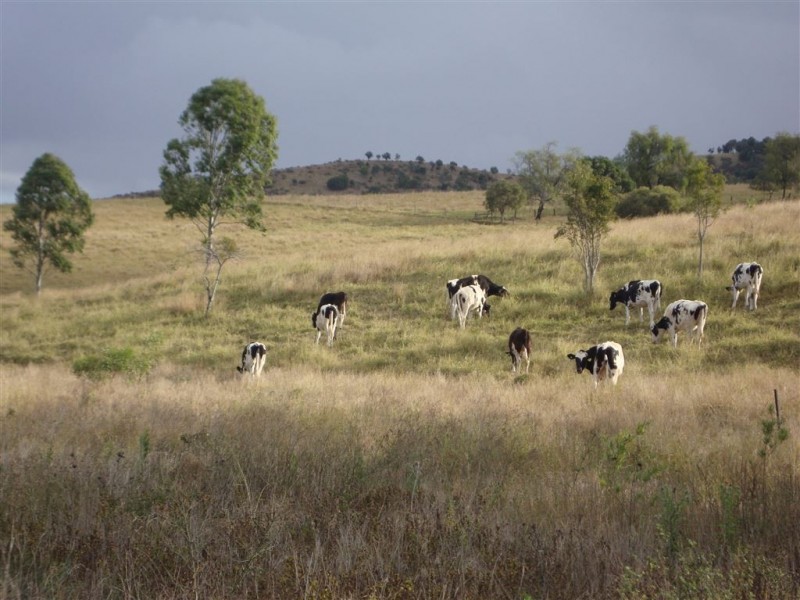 518 Back Ma Ma Road, Ma Ma Creek QLD 4347