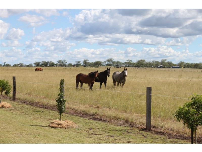 1100 Bowenville-Acland Road, Jondaryan QLD 4403