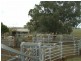 241 Pauli Road, Back Plains QLD 4361