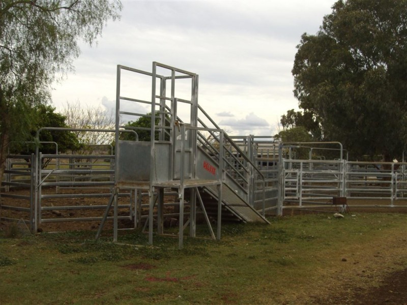 241 Pauli Road, Back Plains QLD 4361