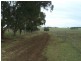 241 Pauli Road, Back Plains QLD 4361
