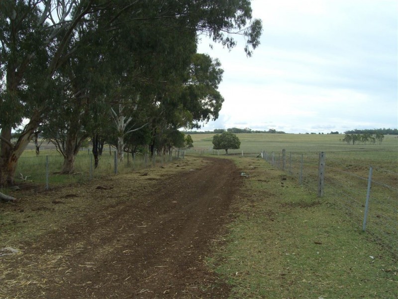 241 Pauli Road, Back Plains QLD 4361