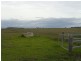 241 Pauli Road, Back Plains QLD 4361
