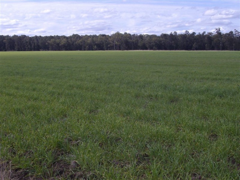 - Punchs Creek Road, Millmerran QLD 4357