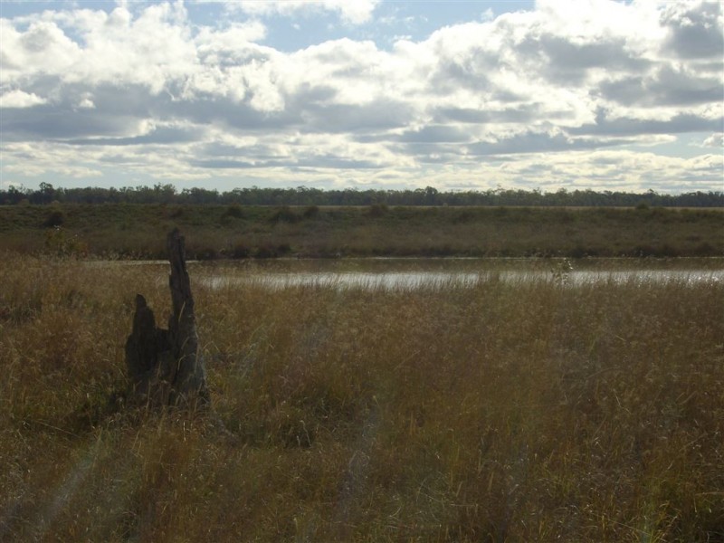 - Punchs Creek Road, Millmerran QLD 4357