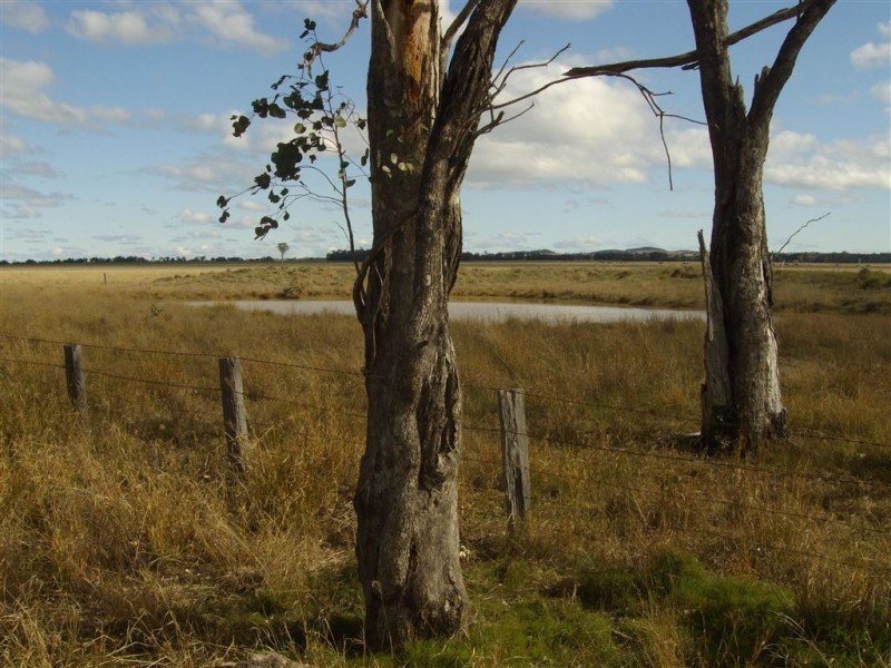 - Punchs Creek Road, Millmerran QLD 4357