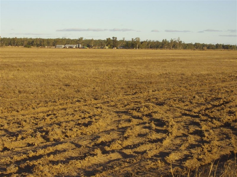 - Punchs Creek Road, Millmerran QLD 4357