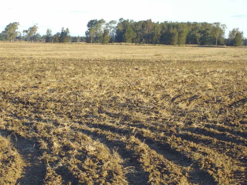 - Punchs Creek Road, Millmerran QLD 4357