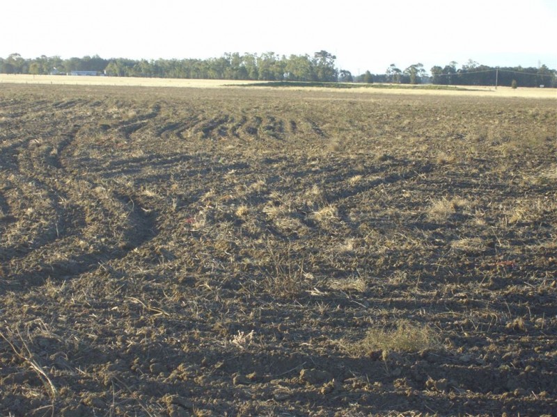 - Punchs Creek Road, Millmerran QLD 4357