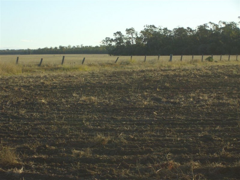 - Punchs Creek Road, Millmerran QLD 4357