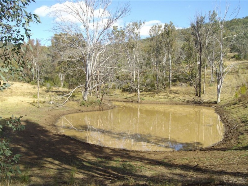 15 Ryan Roadd, Pilton QLD 4361