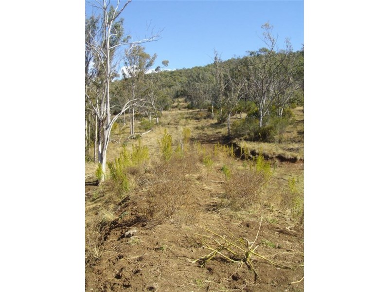 15 Ryan Roadd, Pilton QLD 4361