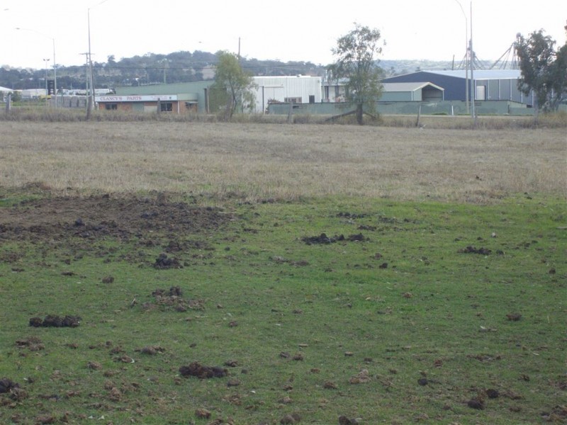 125 Carrington Road, Torrington QLD 4350