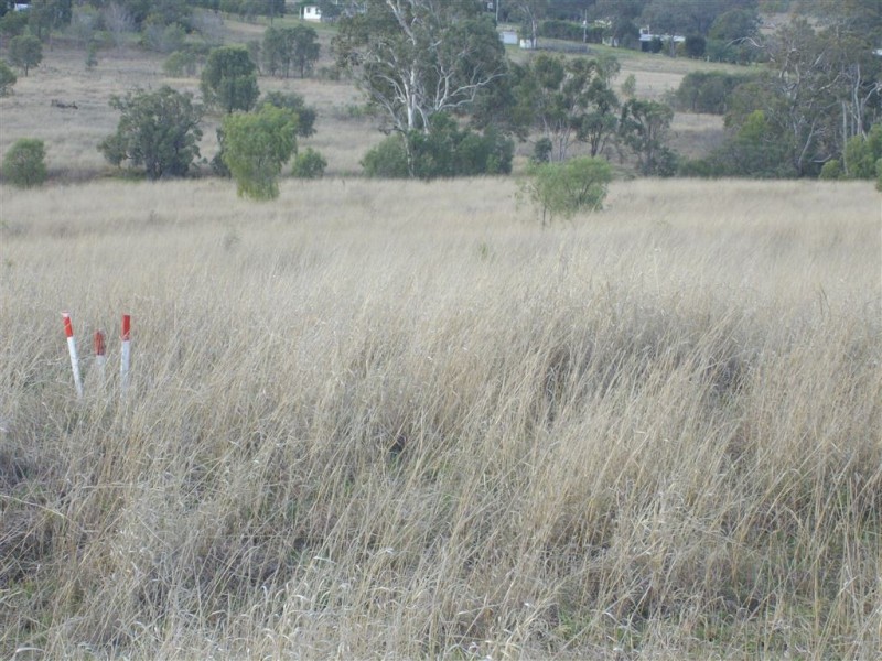 125 Carrington Road, Torrington QLD 4350